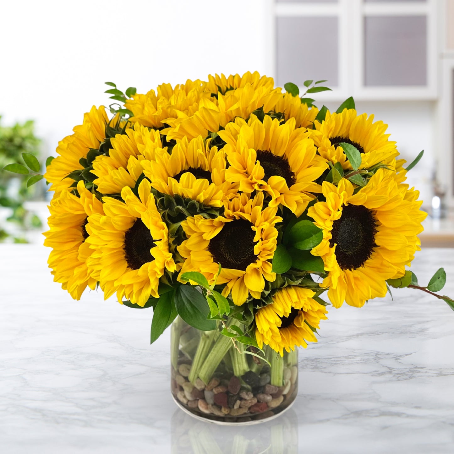 south riding sunflowers