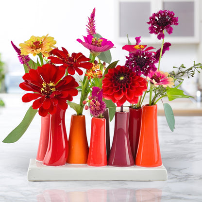 Color Pop Bud Vases